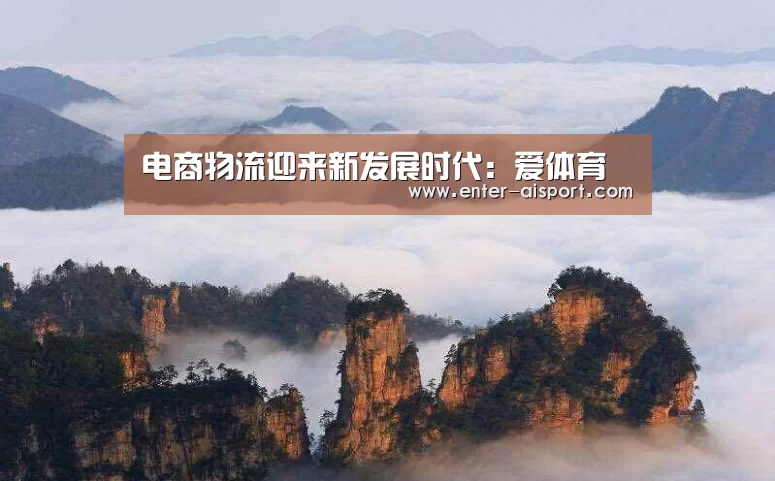 电商物流迎来新发展时代:爱体育(图2) 爱体育